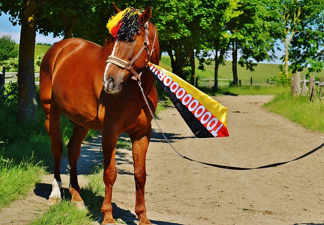 的体育直播 的体育直播