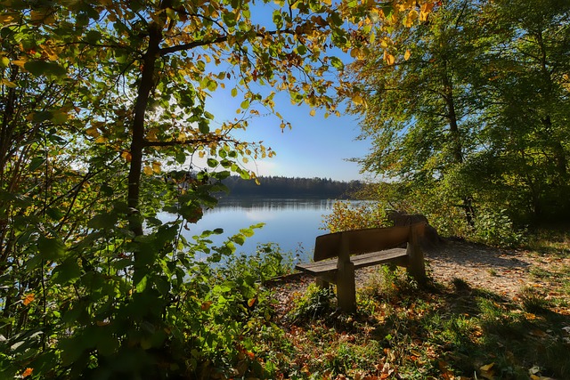 業生涯展現 業生涯展現