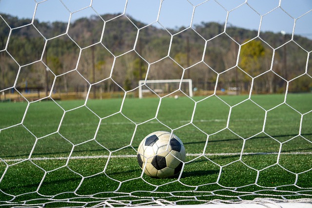 王楚钦4-0横扫户上隼辅 晋级亚洲杯男单四强.