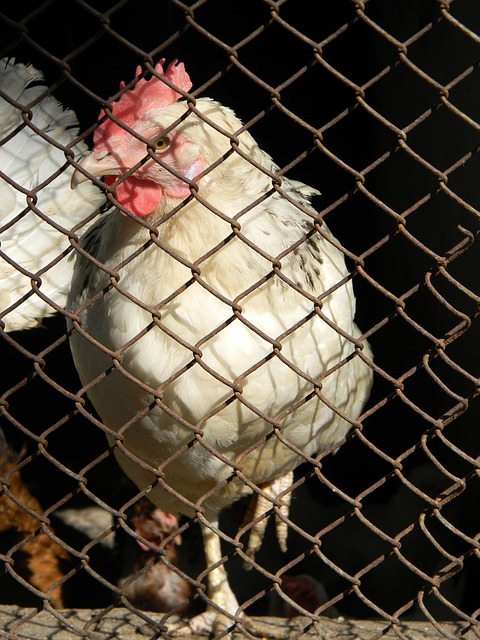 团队精神和 团队精神和