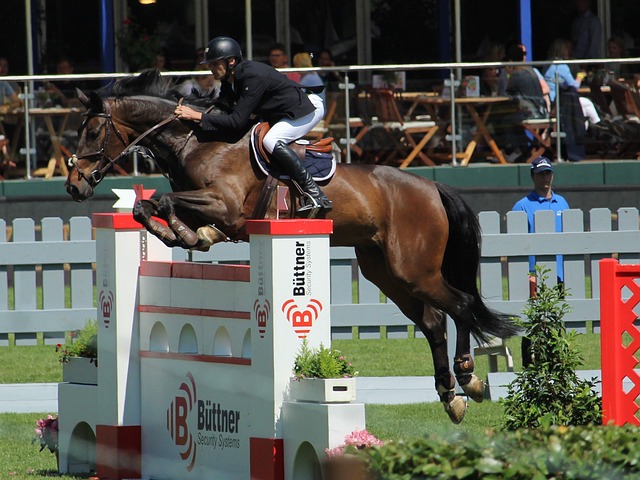 瞭望·第一学习|为发展新质生产力提供坚实人才支撑.