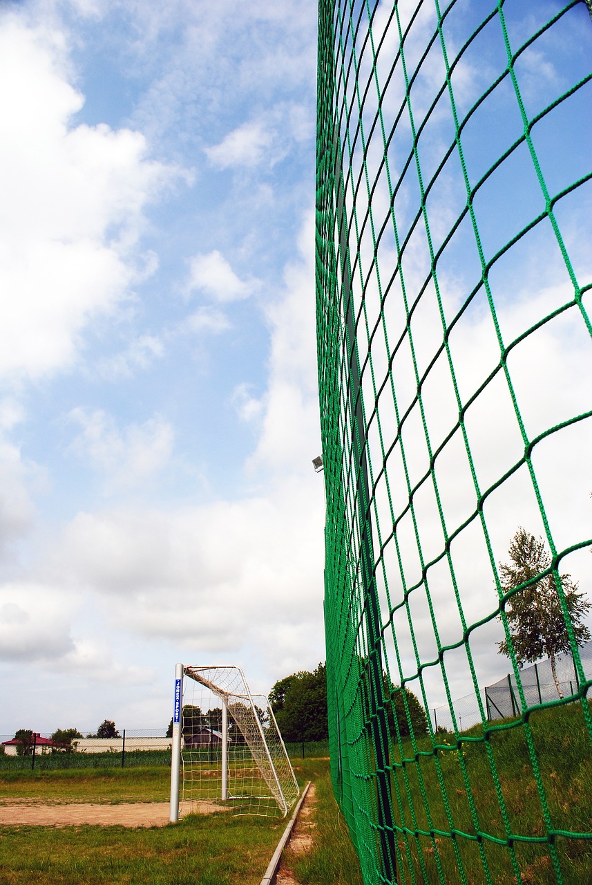 文化中国行·诗意节令丨大寒:明朝换新律 梅柳待阳春.